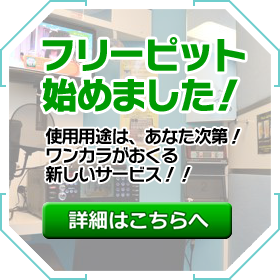 フリーピット